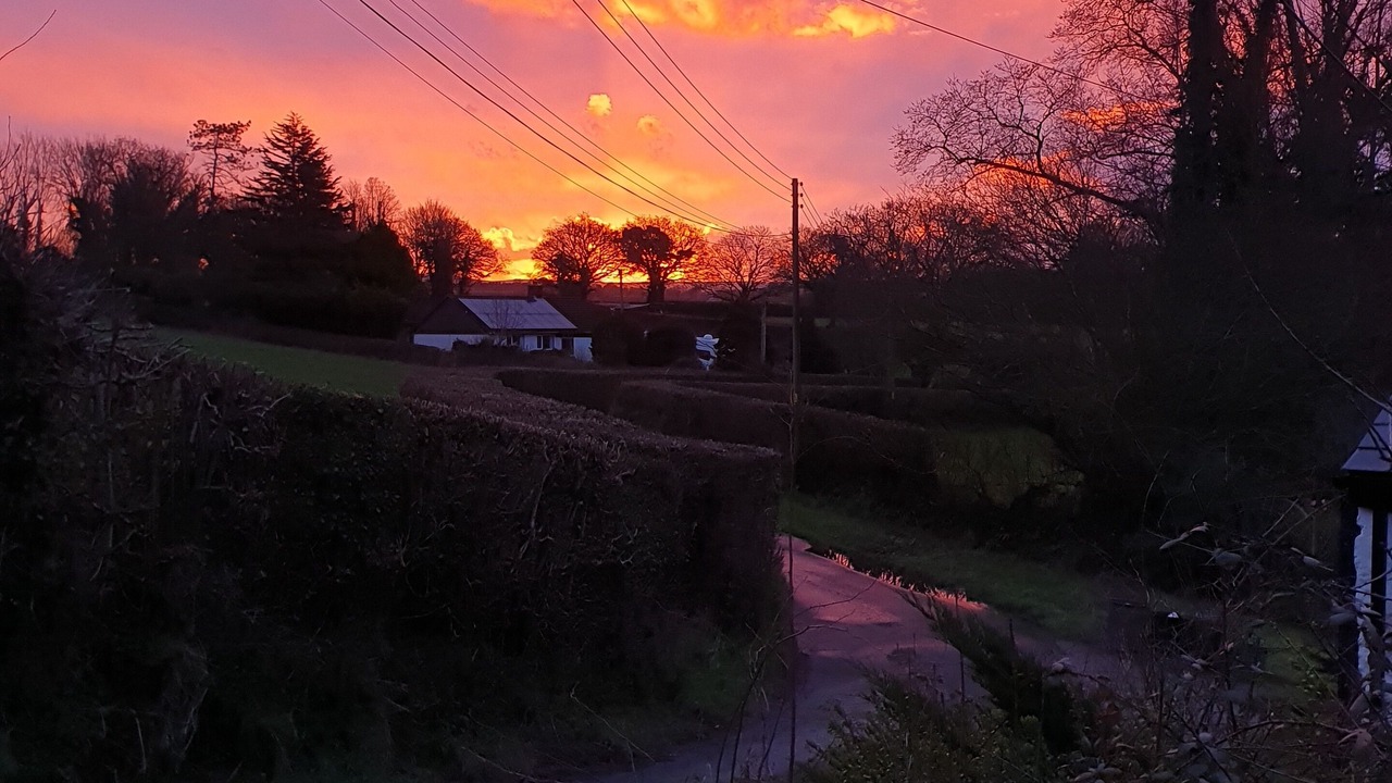 Photo of Others in Sprytown