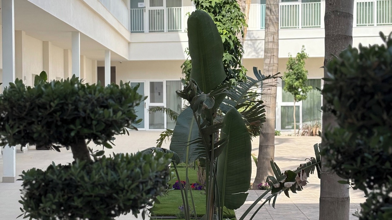 Photo of Outdoor in Moncada