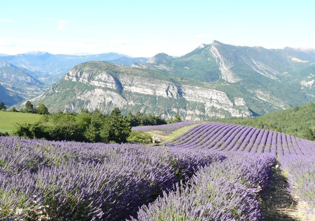 Photo of Others in Dieulefit