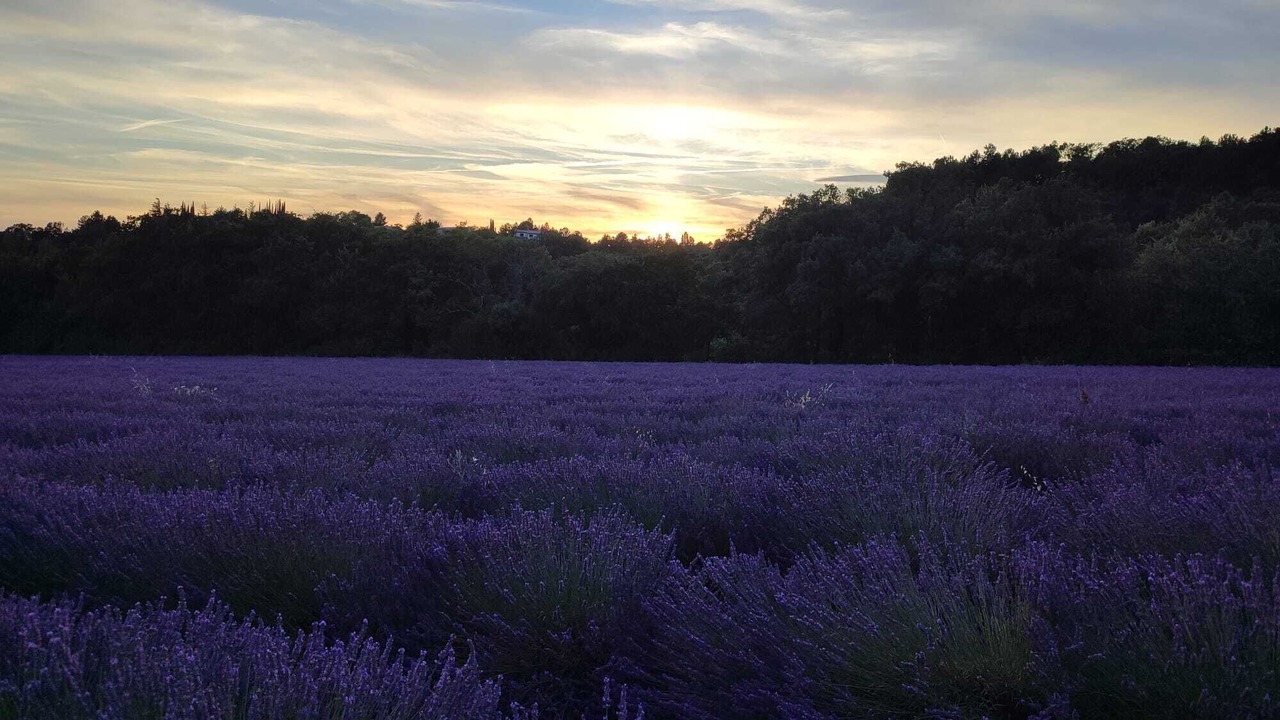 Photo of Outdoor in Dieulefit