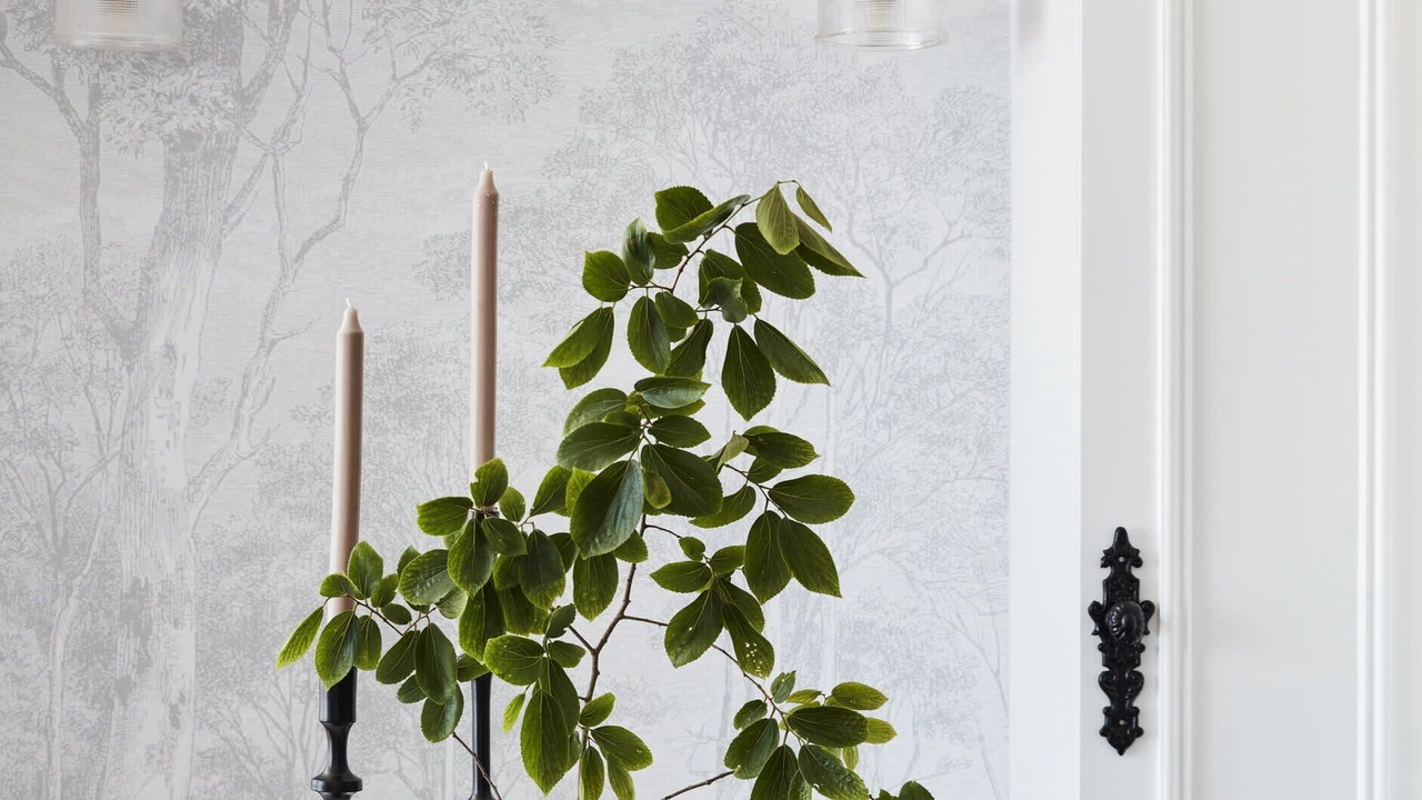 Photo of Others in Darling Point