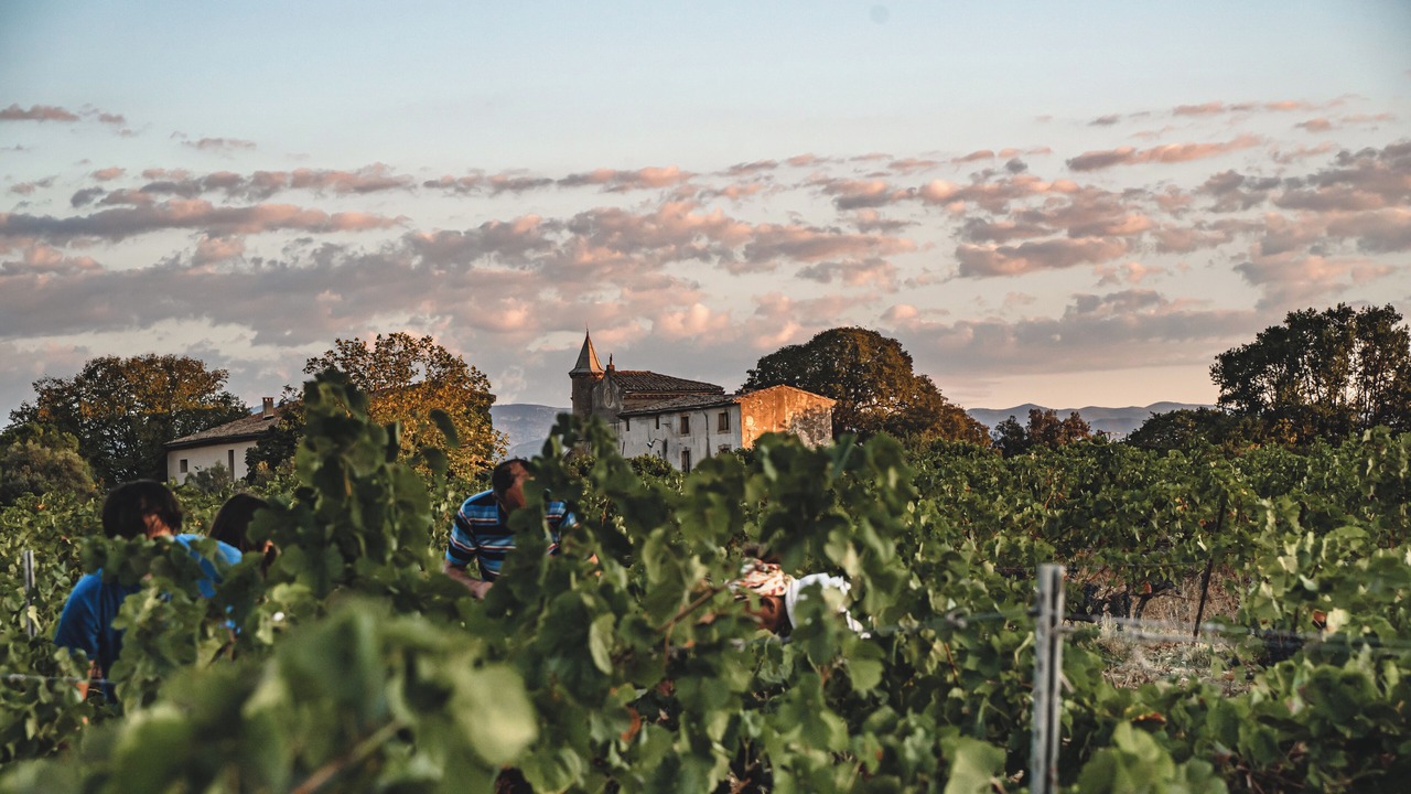 Photo of Others in Gignac