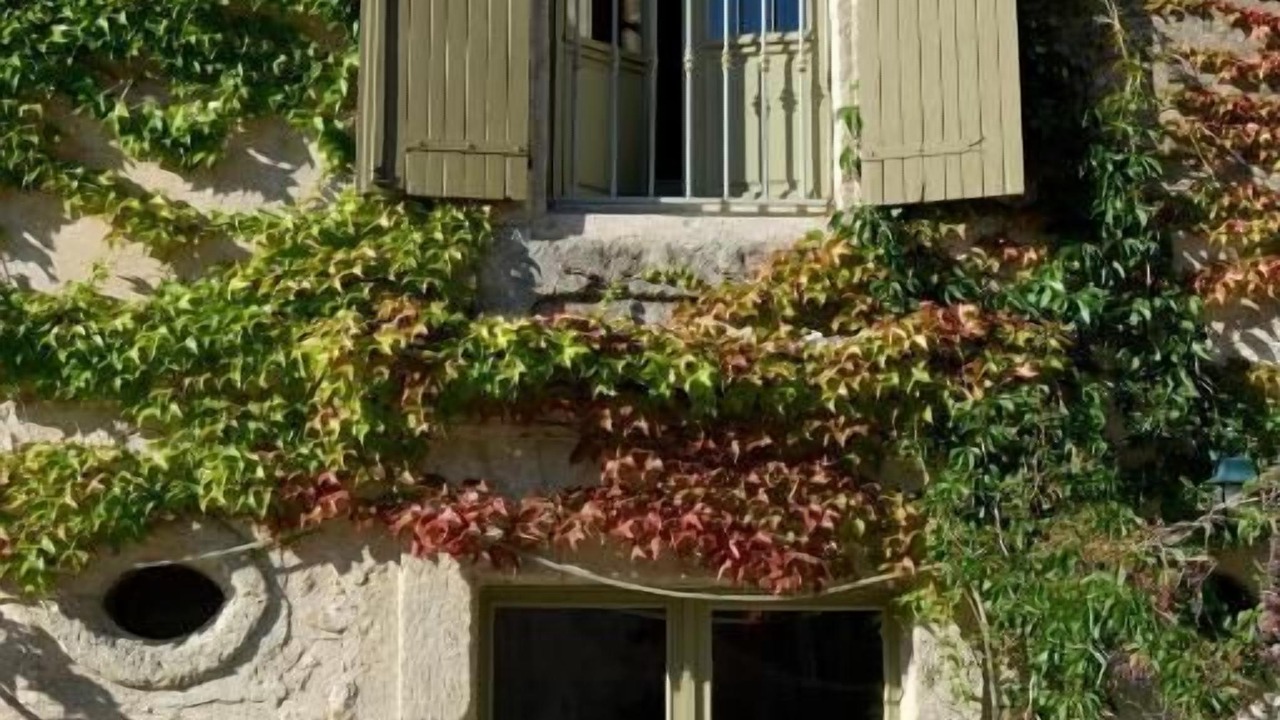 Photo of Outdoor in Gignac