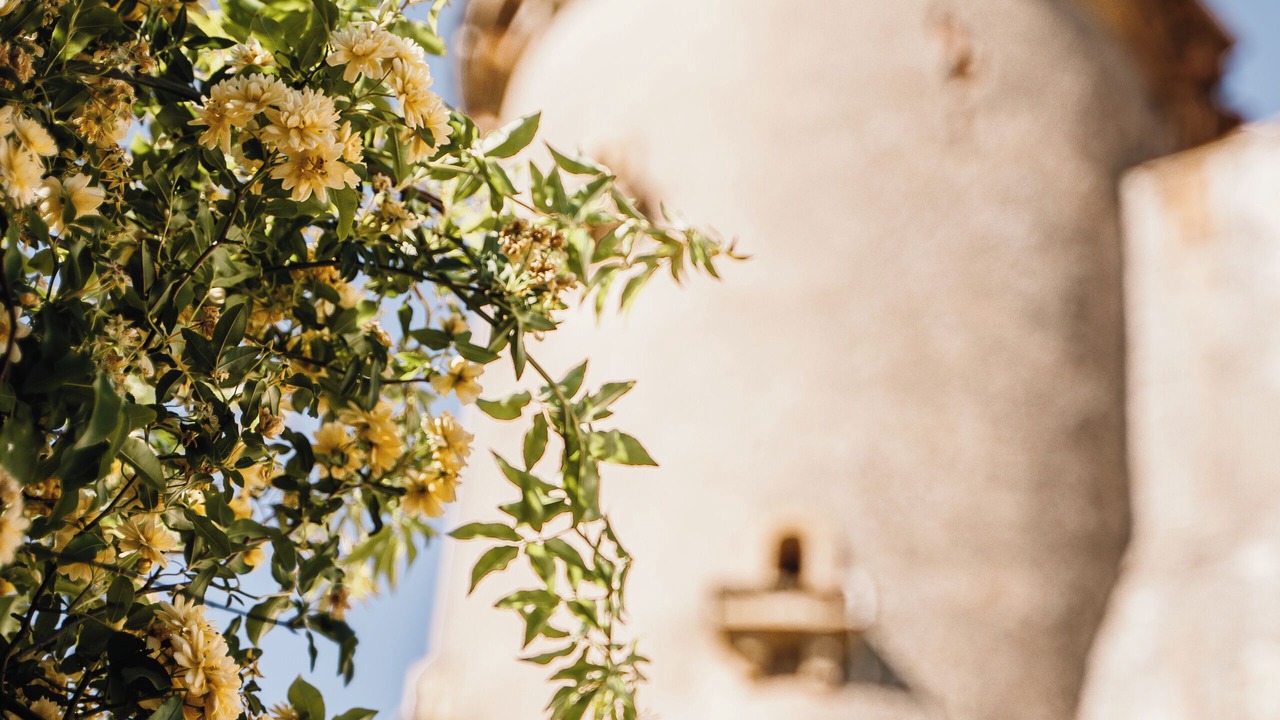 Photo of Outdoor in Gignac