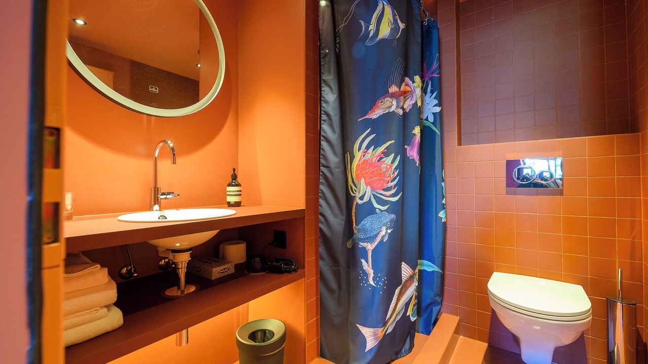 Photo of Bathroom in Fislisbach