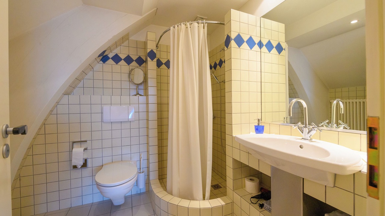 Photo of Bathroom in Fislisbach