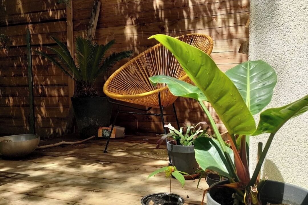 Photo of Outdoor in Ustaritz