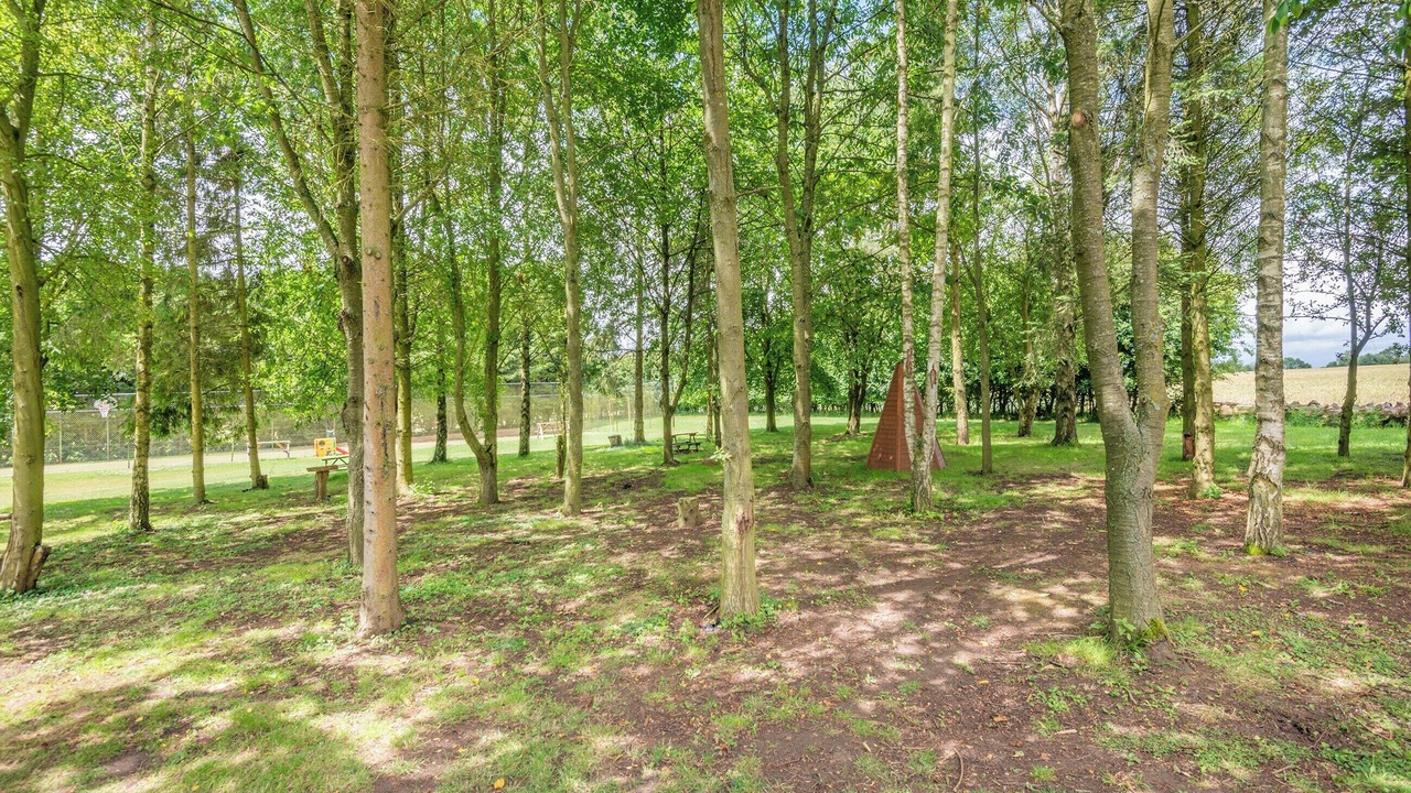 Photo of Outdoor in Toppesfield