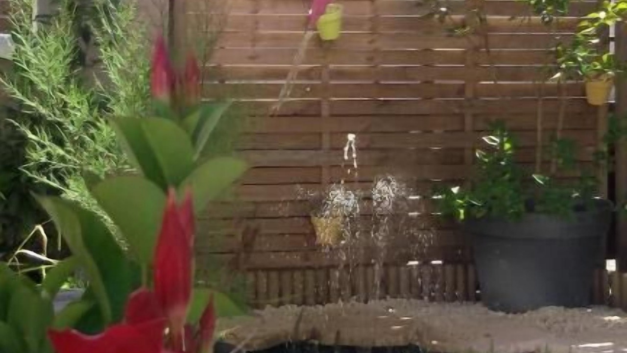 Photo of Patio Balcony in Digoin