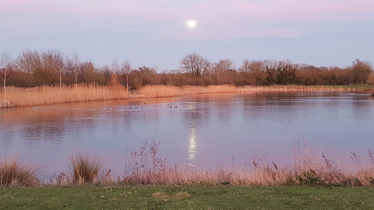 Photo of Outdoor in Wyton