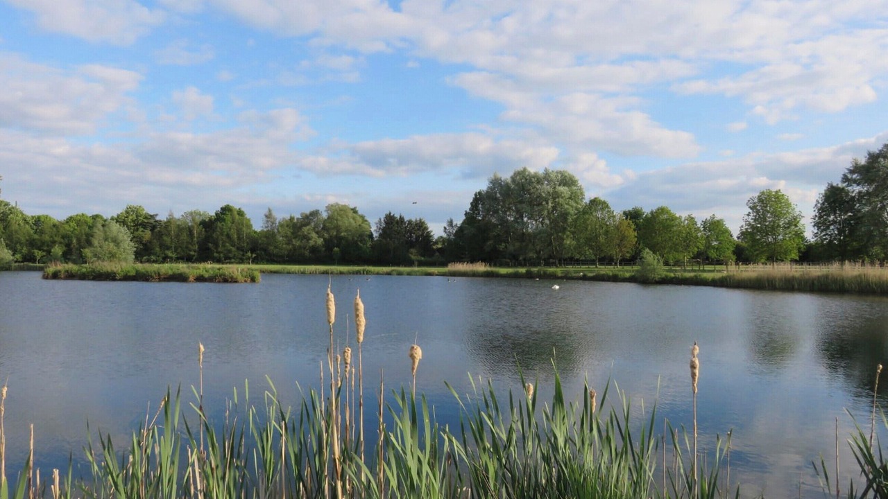 Photo of Others in Wyton