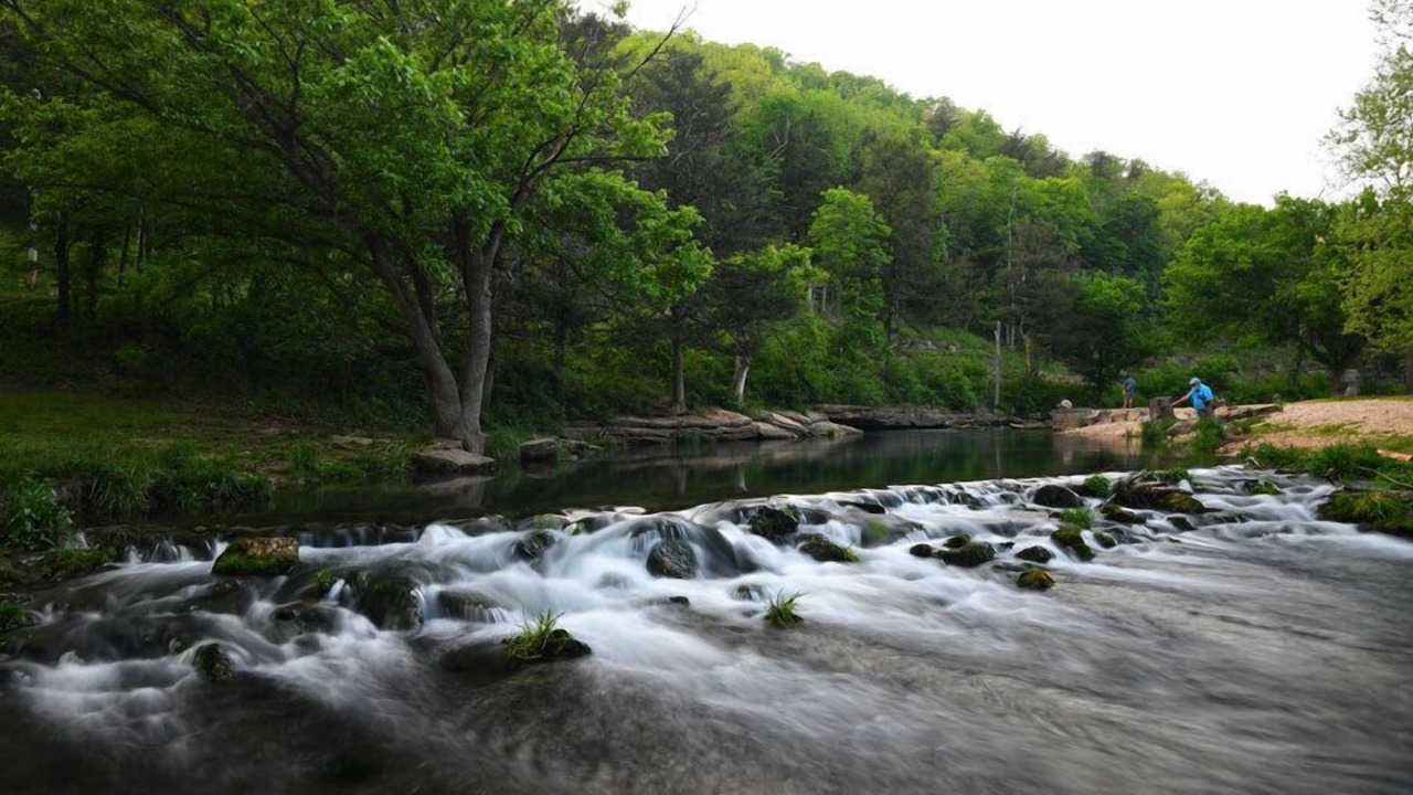 Photo of Others in Cassville