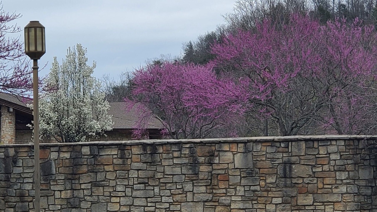 Photo of Outdoor in Cassville