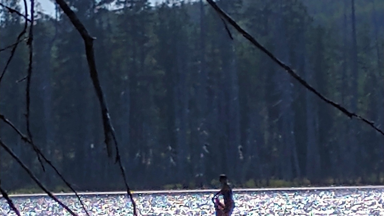 Photo of Others in Forks