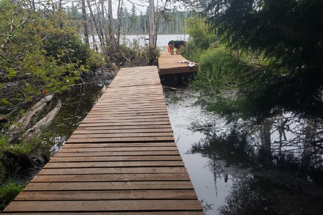 Photo of Outdoor in Forks