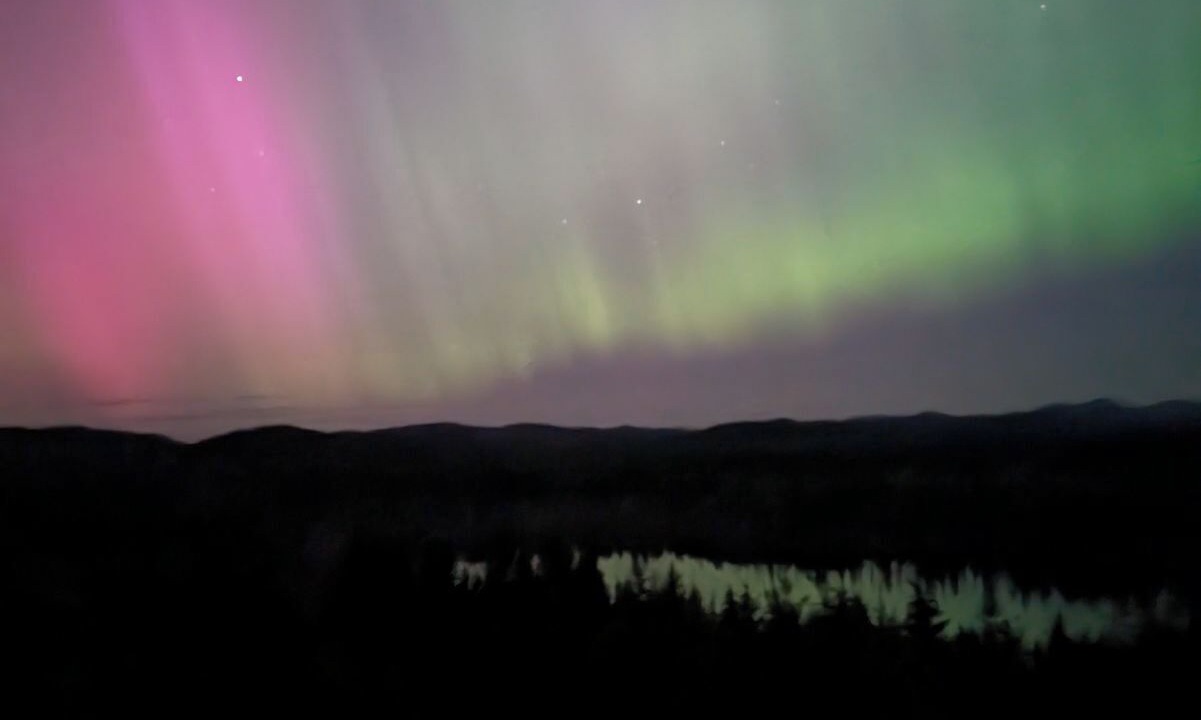 Photo of Others in Forks
