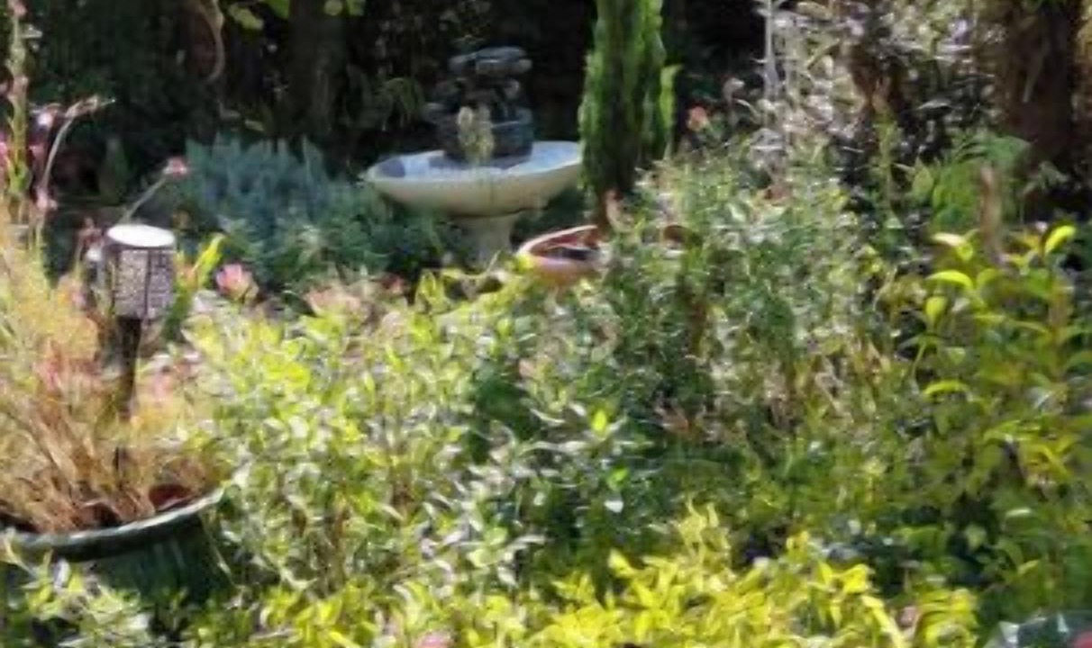 Photo of Outdoor in Salindres