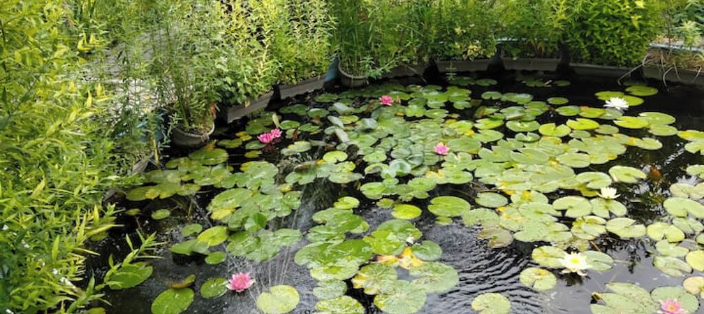 Photo of Others in Salindres