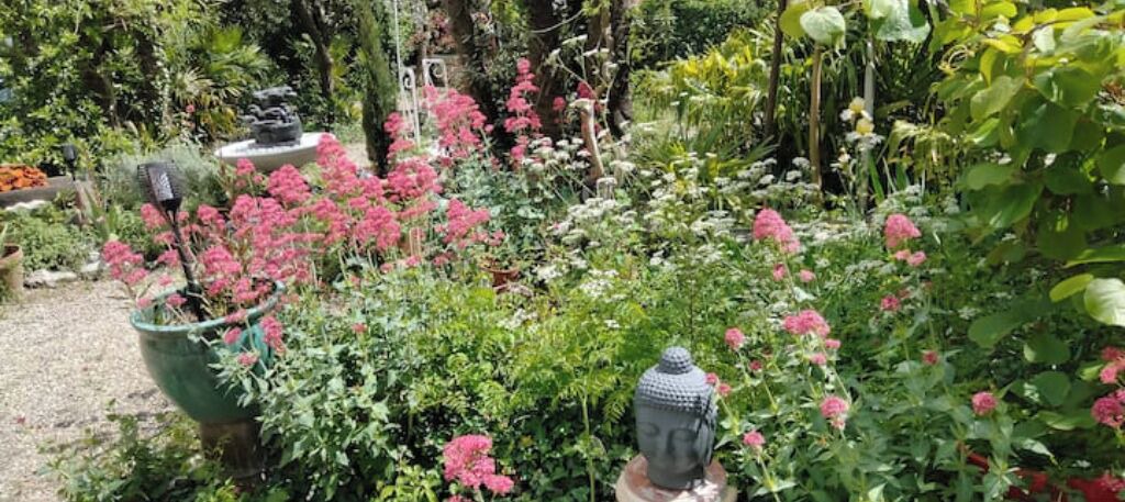 Photo of Outdoor in Salindres