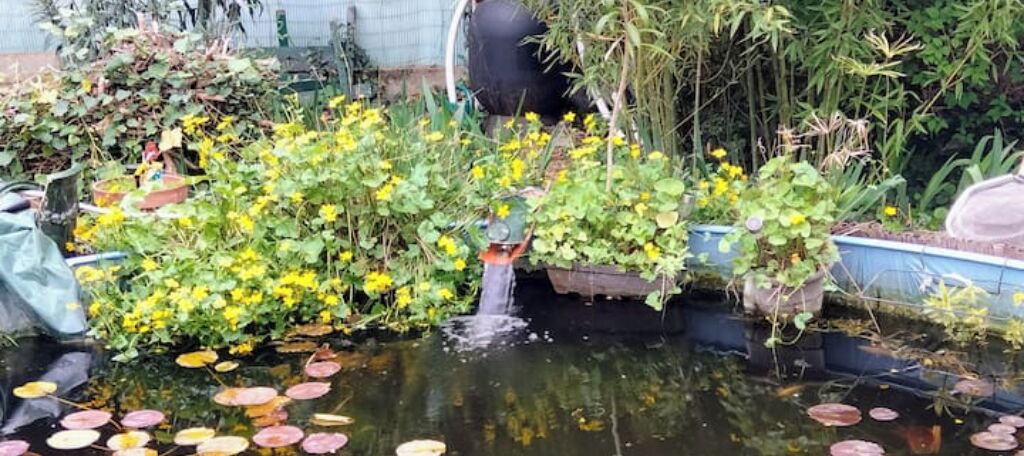 Photo of Others in Salindres