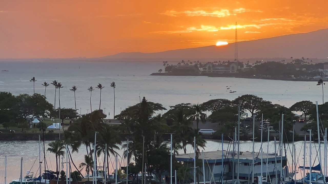 Photo of Others in Ala Moana