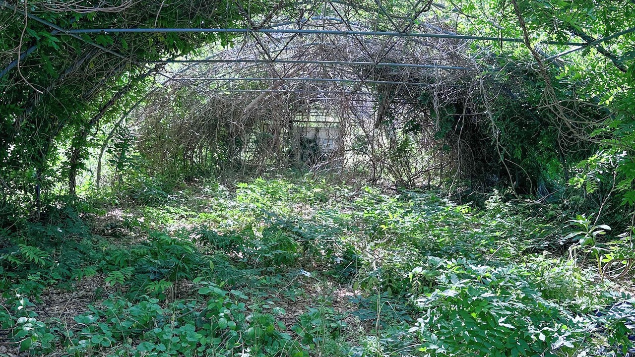 Photo of Outdoor in Fairport