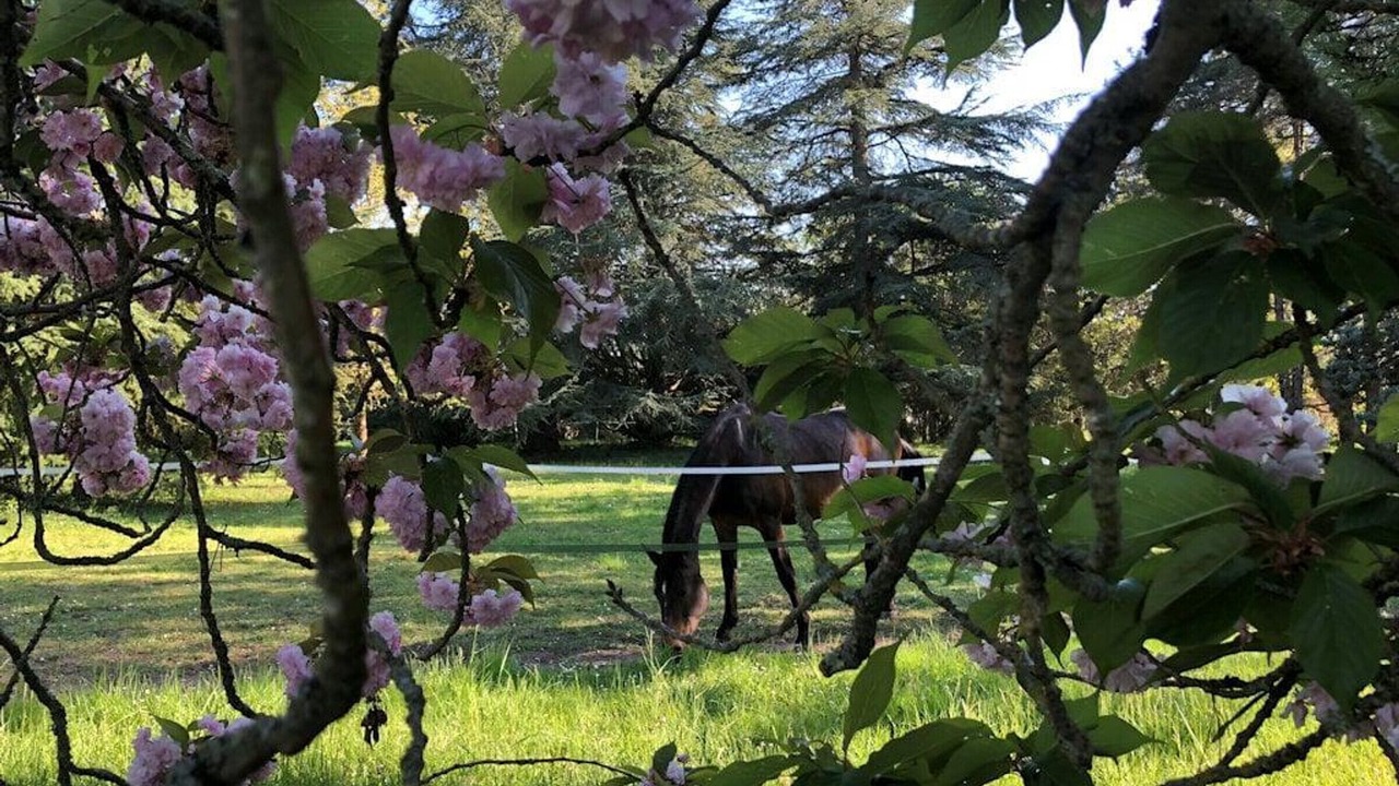 Photo of Outdoor in Charentilly