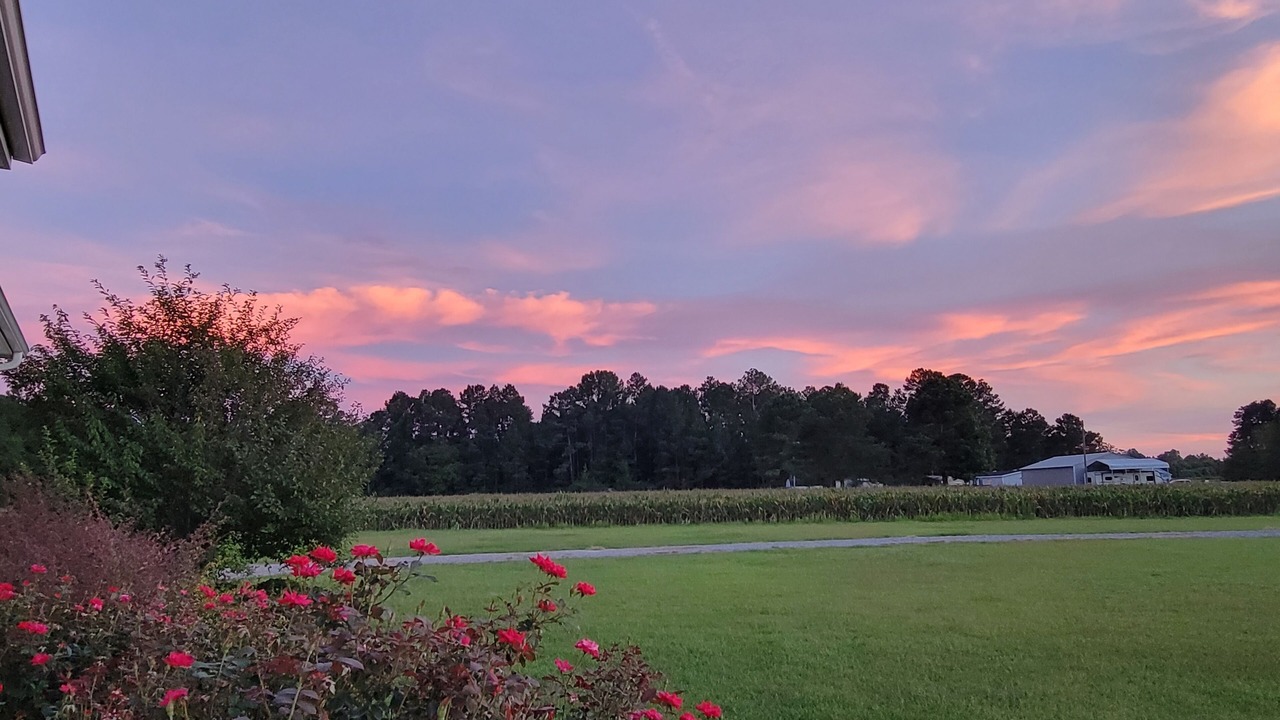 Photo of Outdoor in Cape Fear