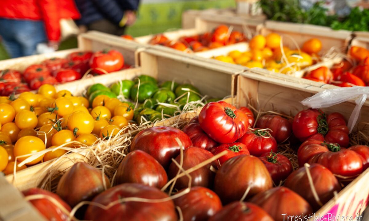 Photo of Others in Durban-Corbieres