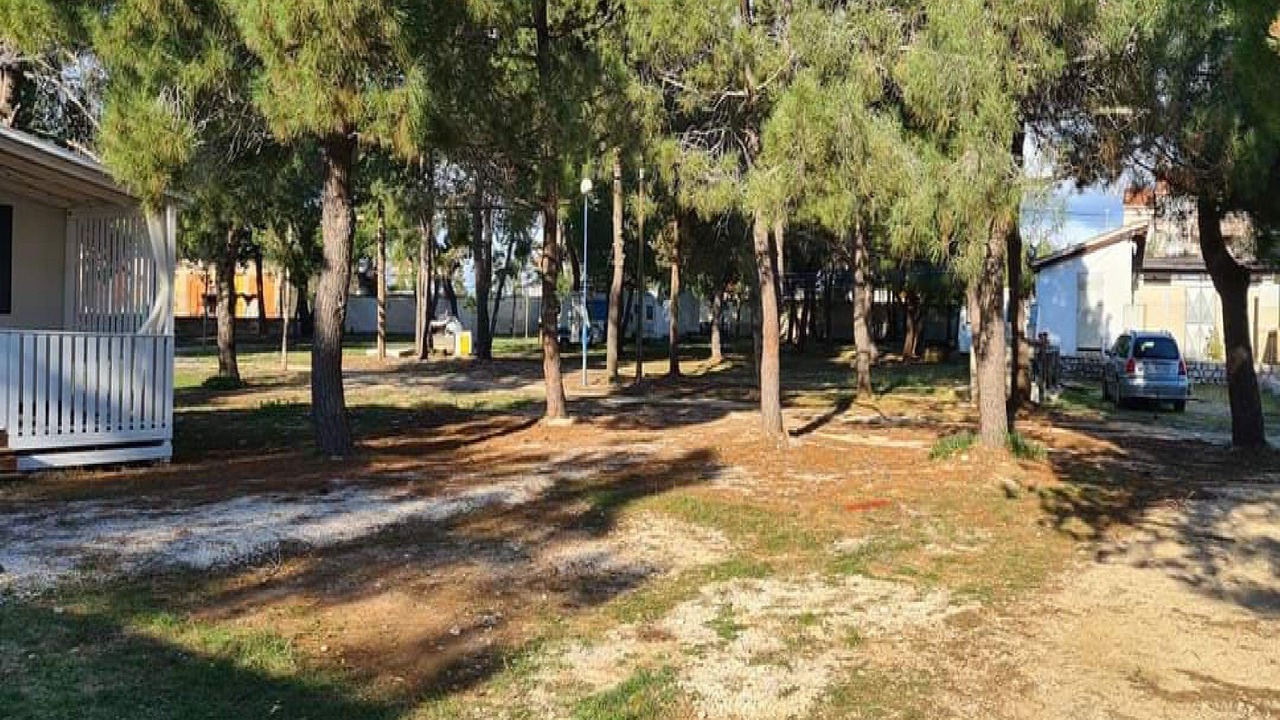 Photo of Others in Privlaka