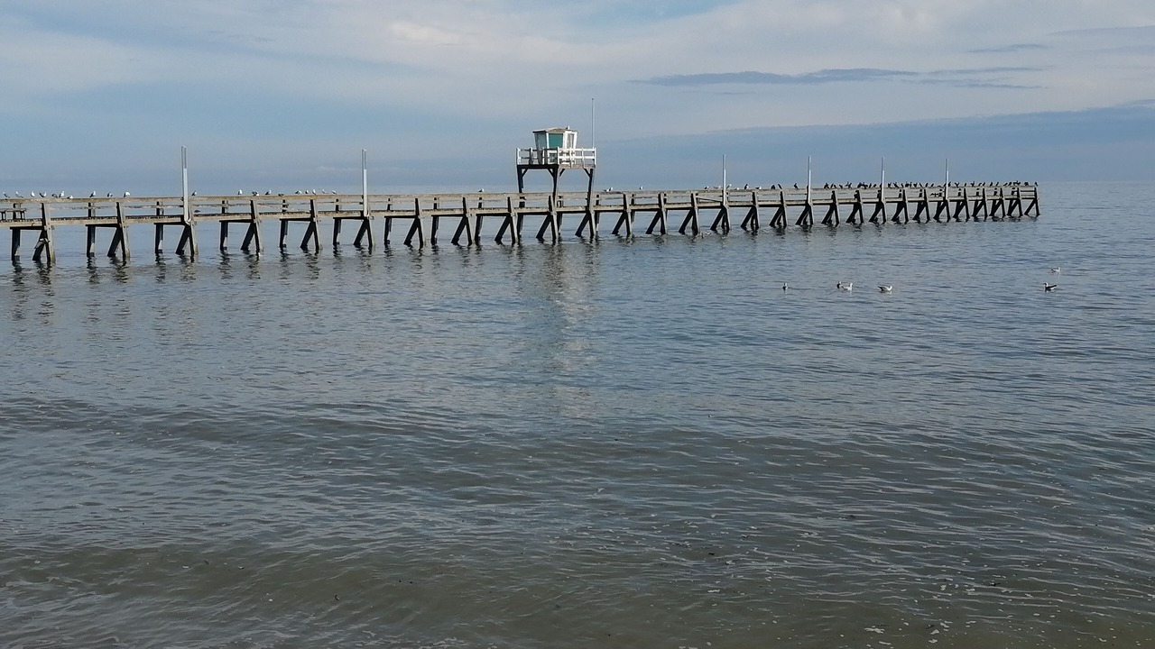 Photo of Others in Luc-sur-Mer