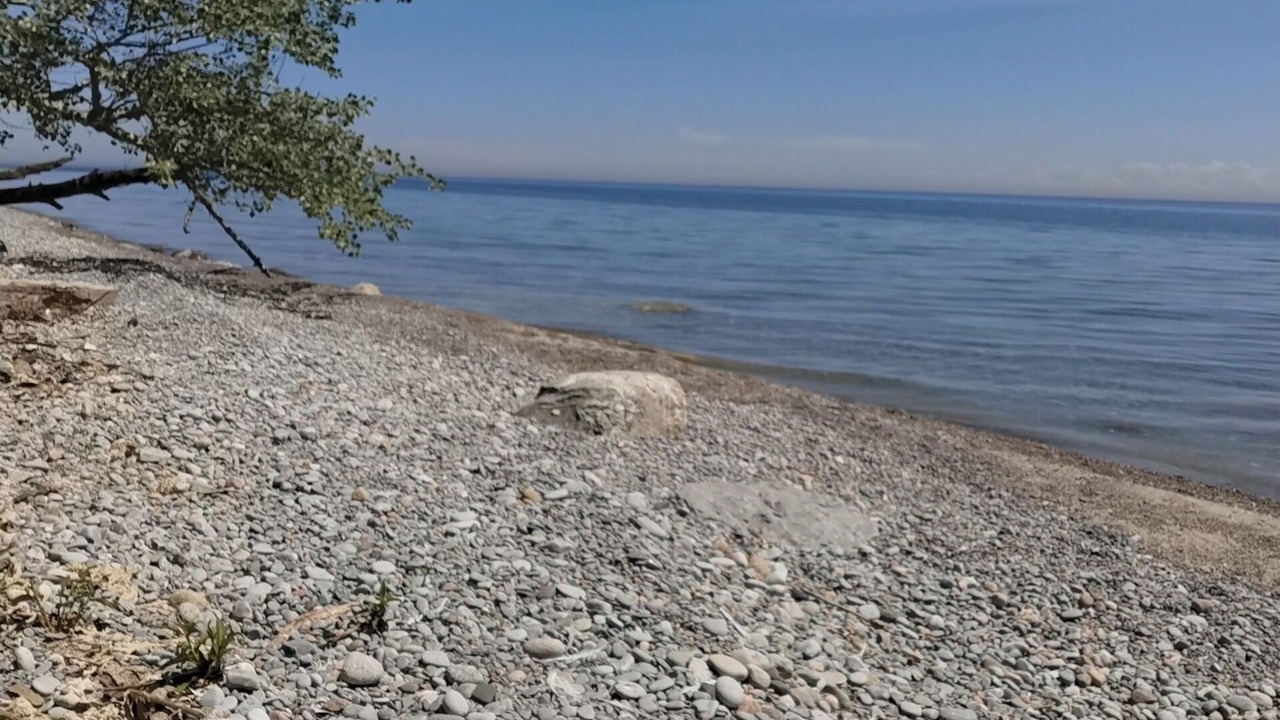 Photo of Others in Bowmanville