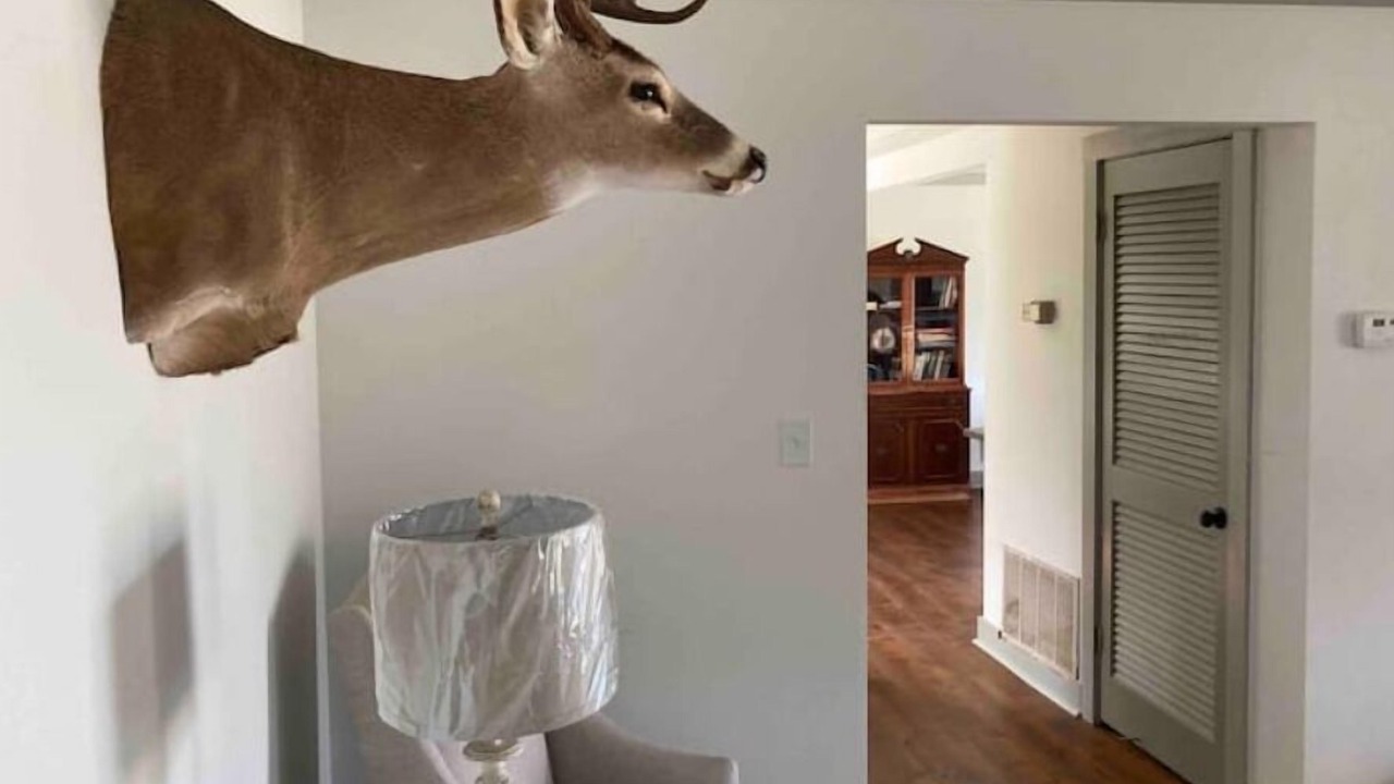 Photo of Others in Valdosta