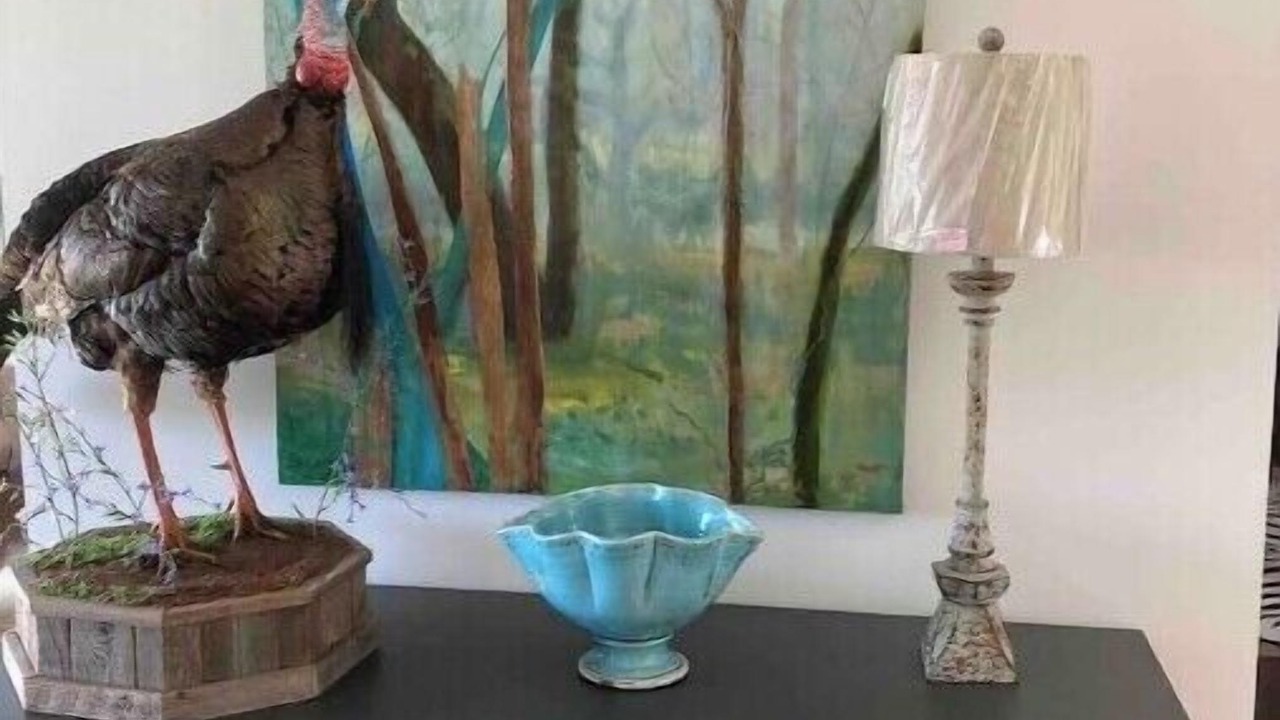 Photo of Others in Valdosta