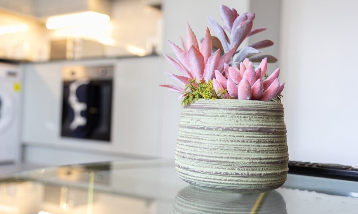 Photo of Others in Seafront