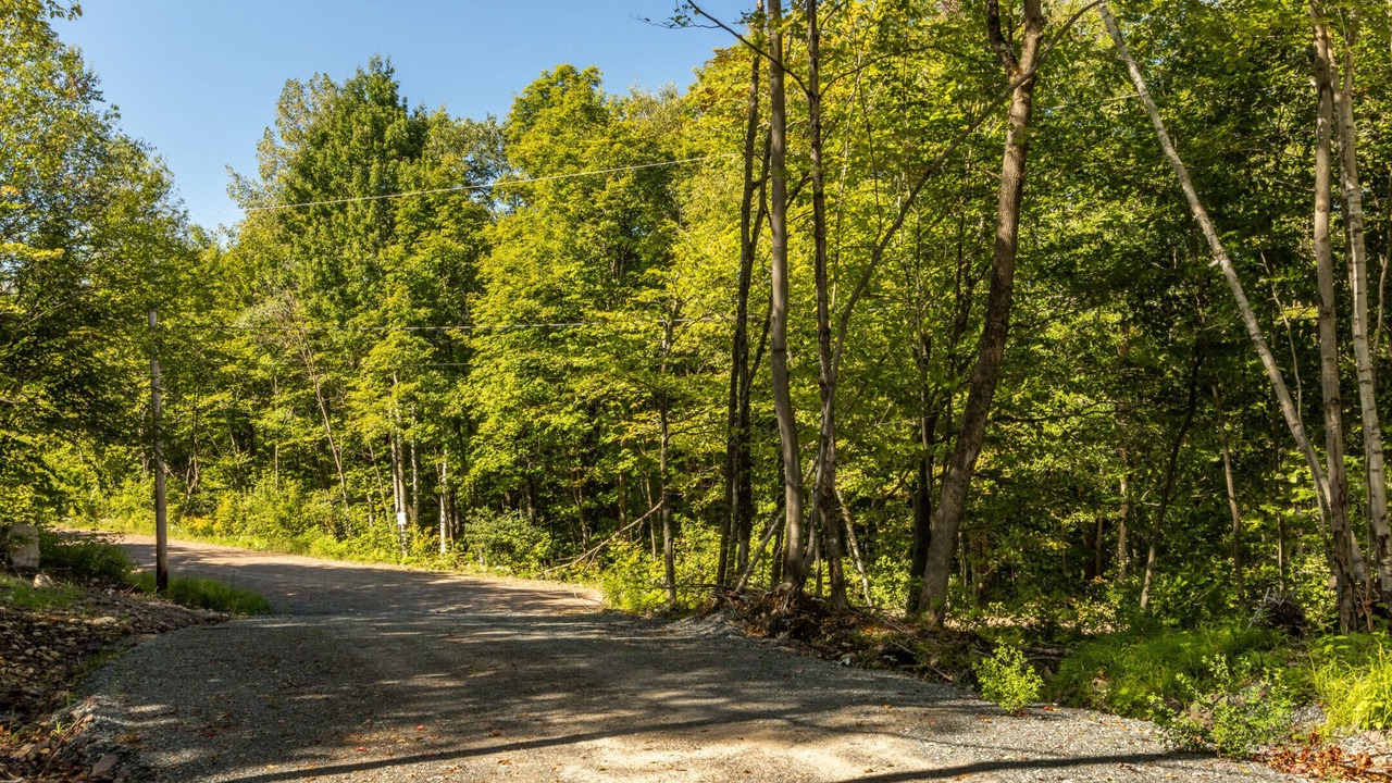 Photo of Others in Pine Hill