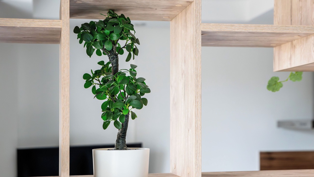 Photo of Others in La Demi - Lune