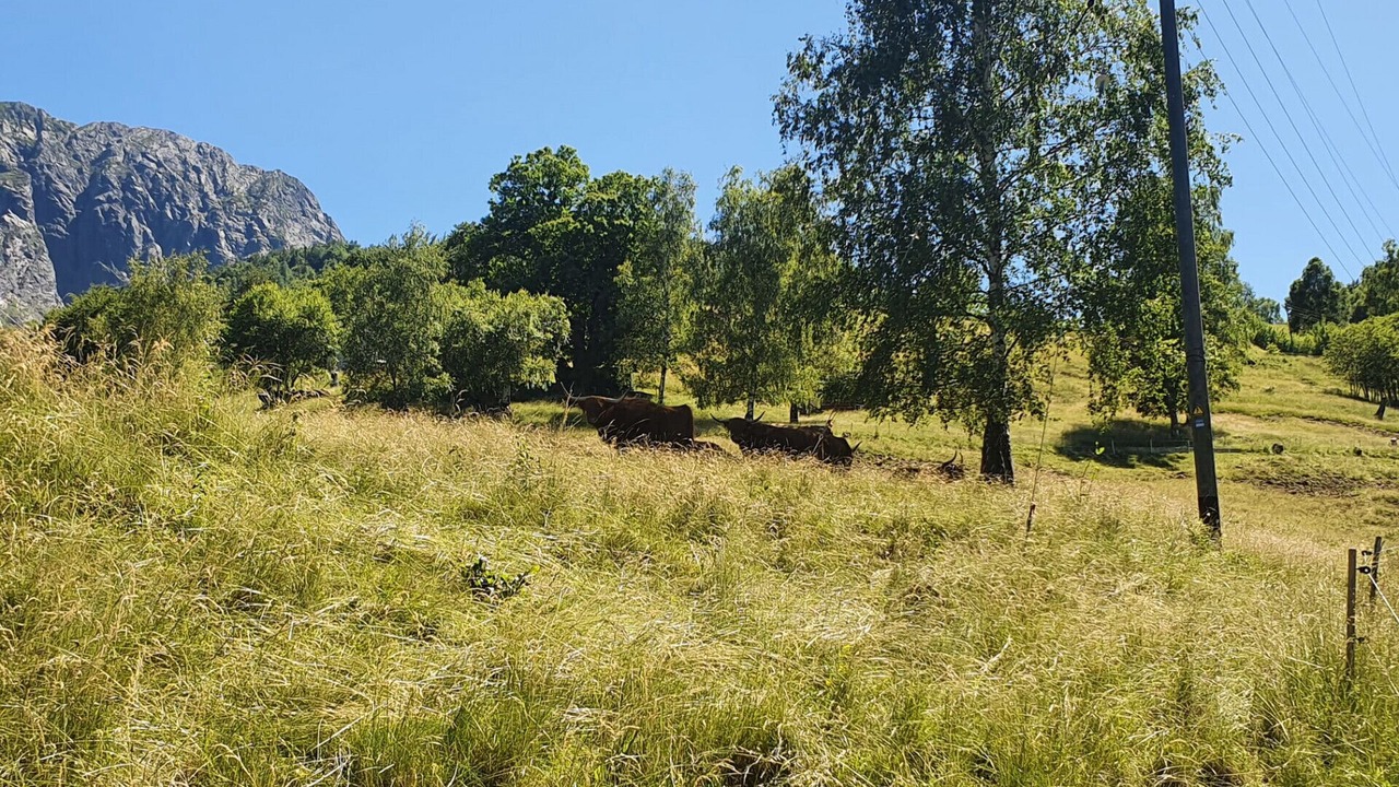 Photo of Others in Centovalli