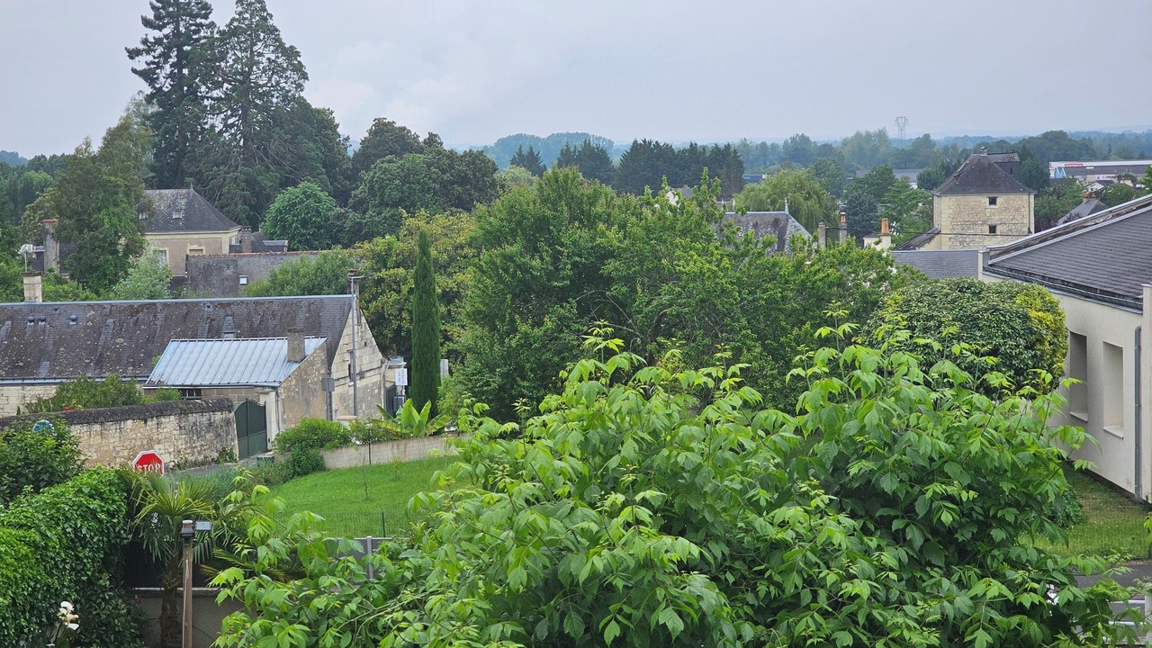 Photo of Outdoor in Bourgueil