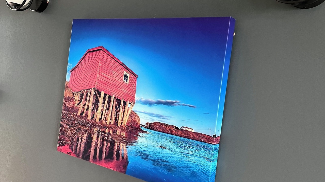 Photo of Others in Conception Bay South
