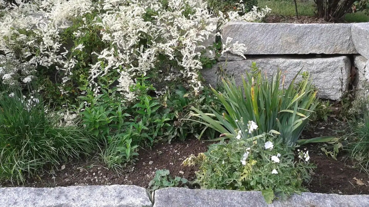 Photo of Outdoor in Waldoboro