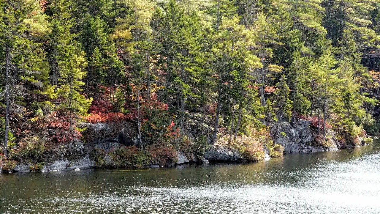 Photo of Others in Waldoboro