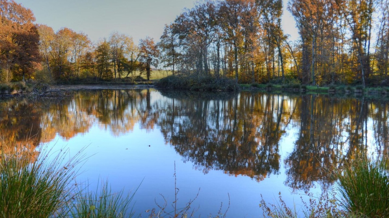 Photo of Outdoor in Loche-sur-Indrois