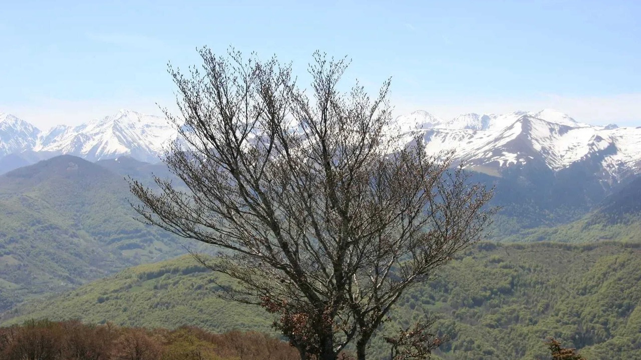 Photo of Others in Herran