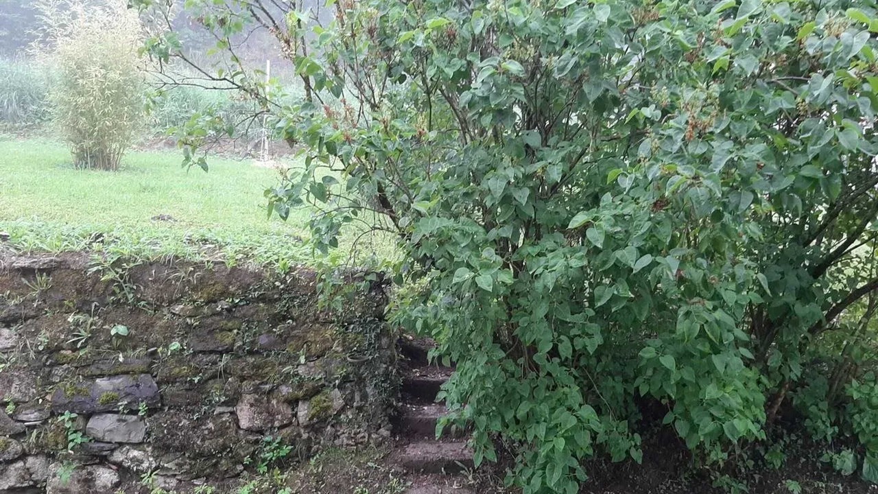 Photo of Outdoor in Herran