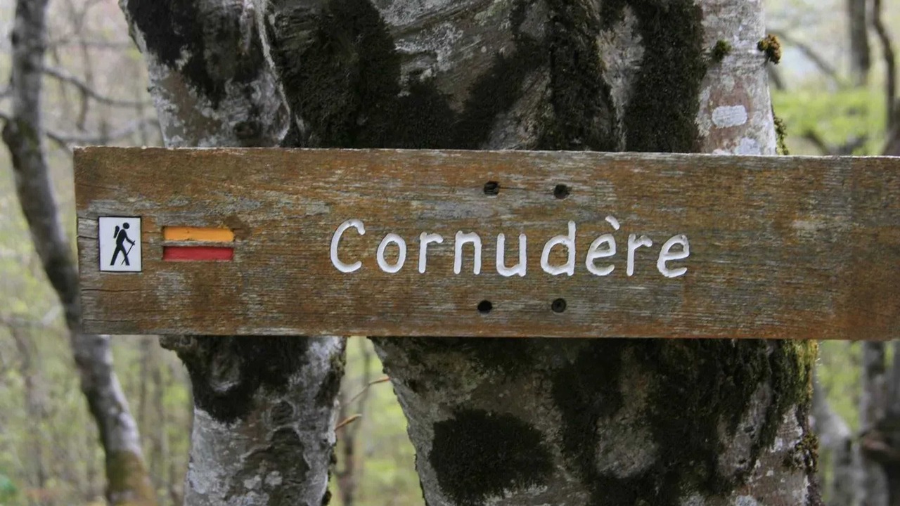 Photo of Outdoor in Herran