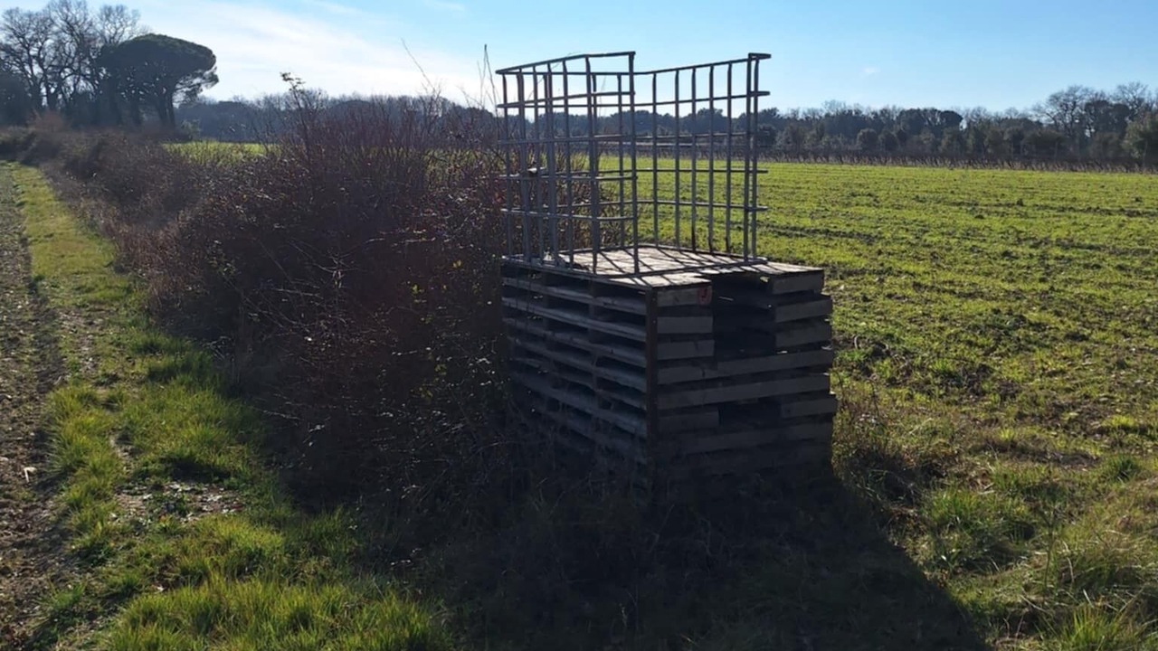 Photo of Others in La Garde-Adhemar