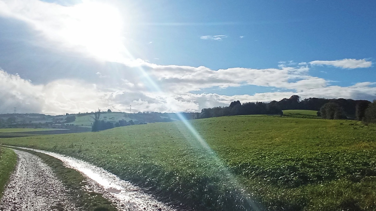 Photo of Outdoor in Alembon