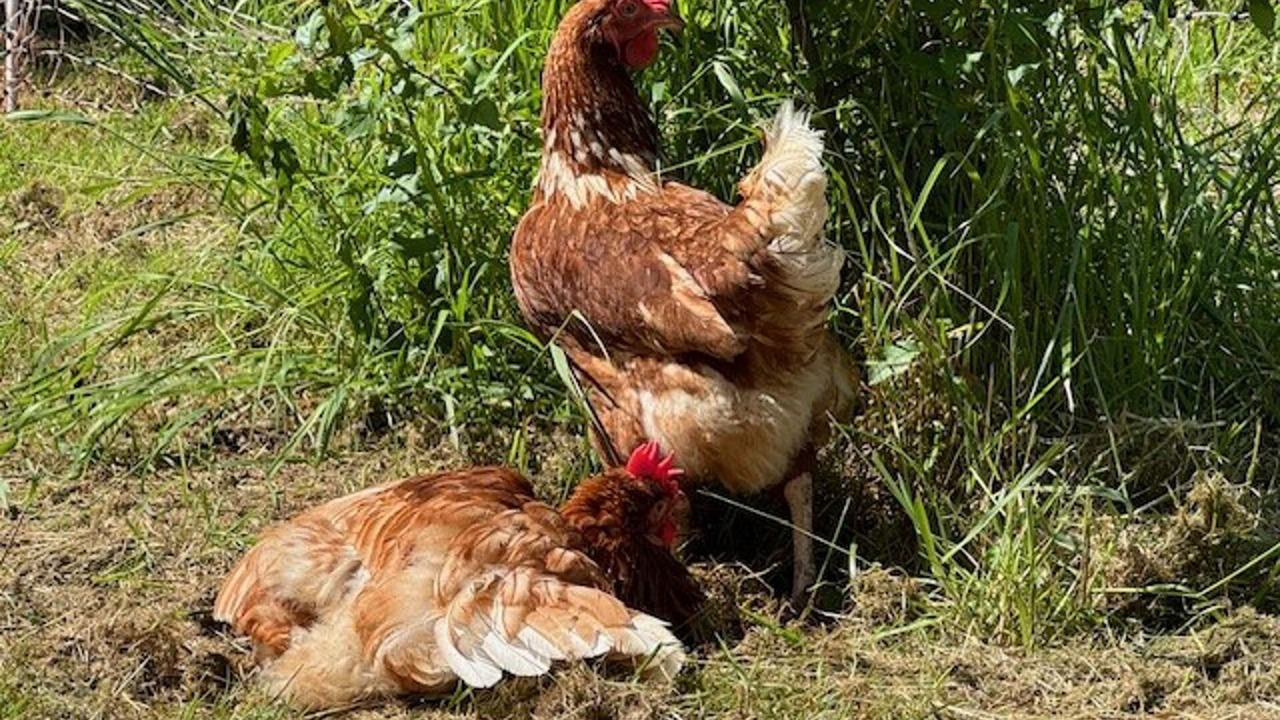 Photo of Others in Brackley