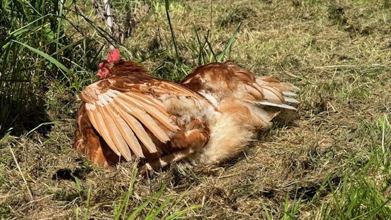 Photo of Bathroom in Brackley